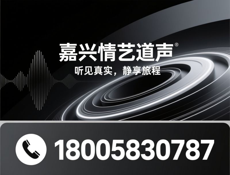 汽车音响改装_汽车隔音降噪/大屏导航升级/推荐嘉兴情艺道声服务