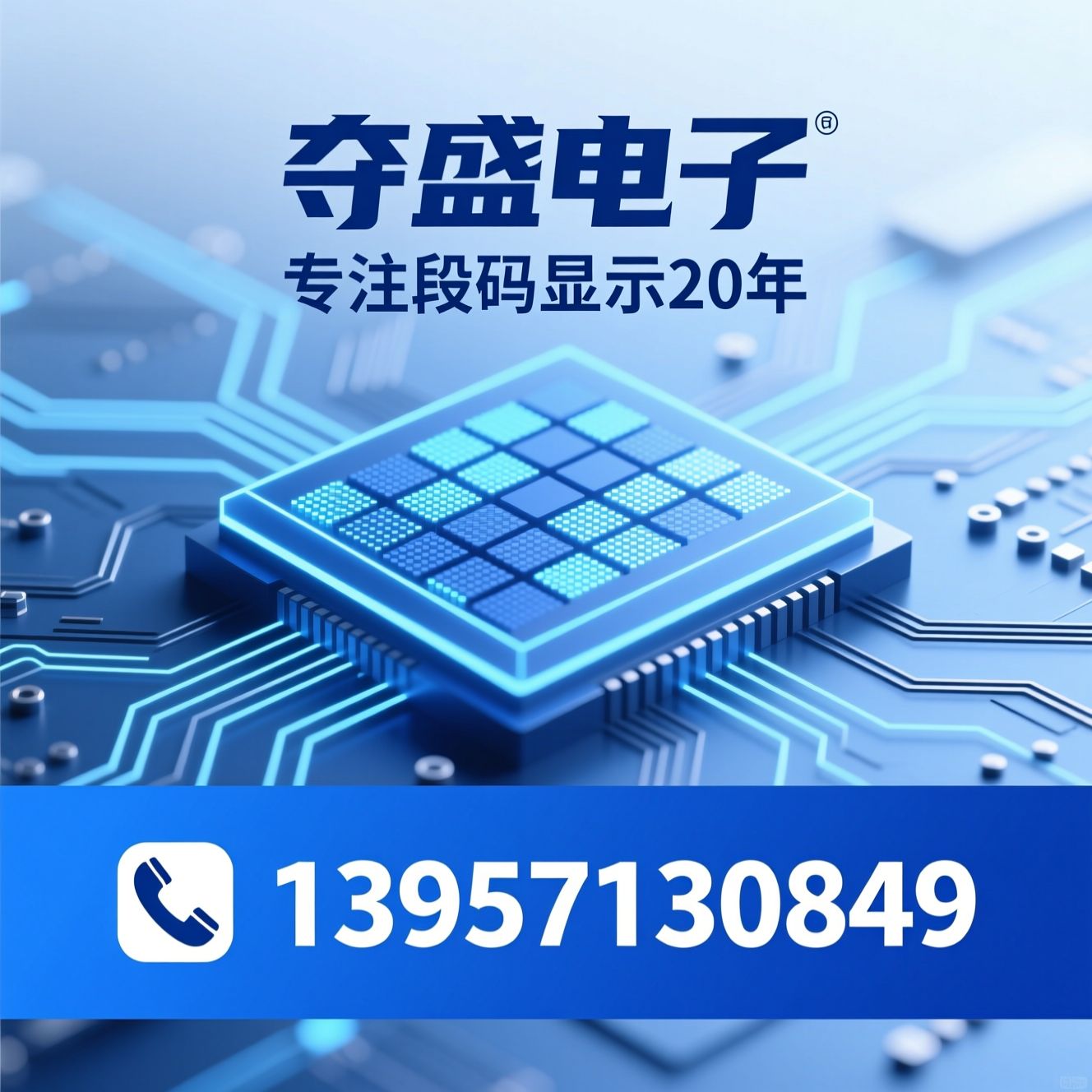LCD显示屏_段码液晶屏/LCD定制/推荐夺盛电子服务