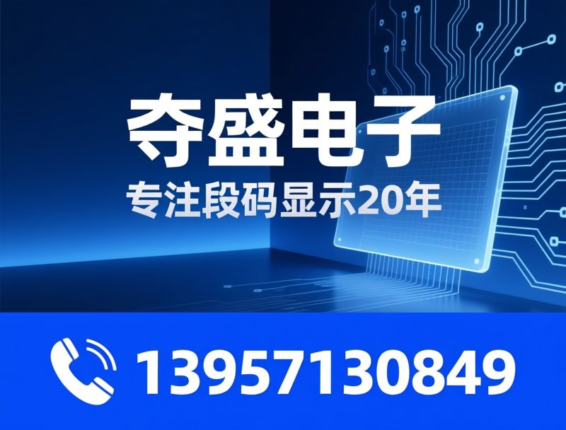 LCD显示屏_段码液晶屏/LCD定制/推荐夺盛电子服务