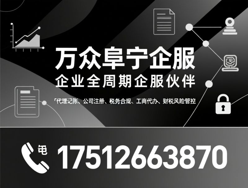 代理记账_工商代办/税务优化/推荐万众阜宁企服服务