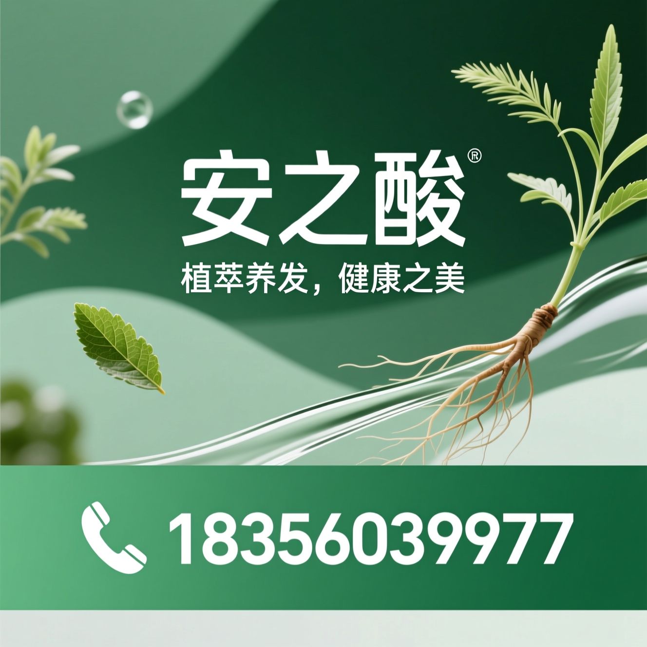 植物染发_草本头疗/防脱育发/推荐安之酸服务