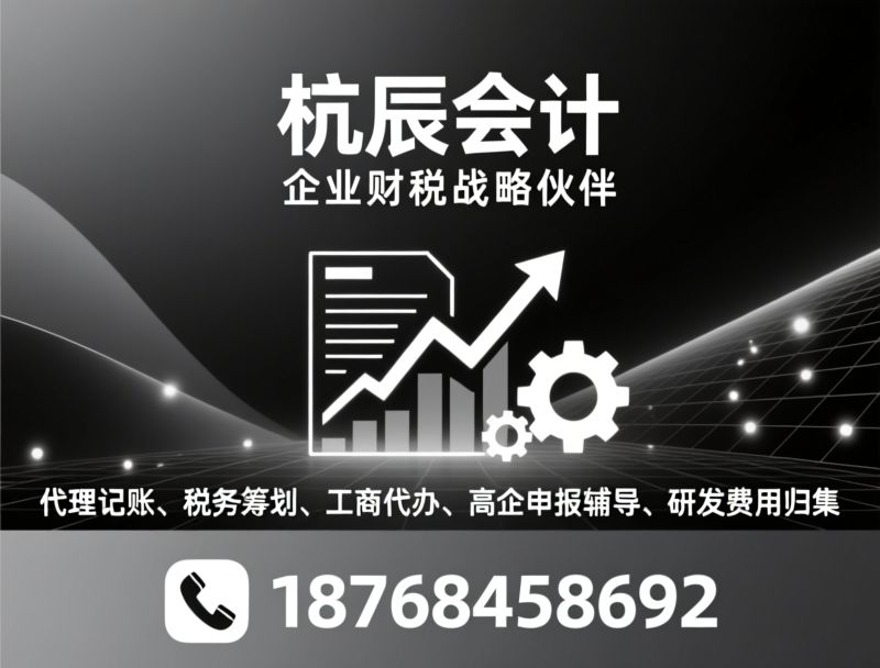 代理记账_税务筹划/高企申报辅导/推荐杭辰会计服务