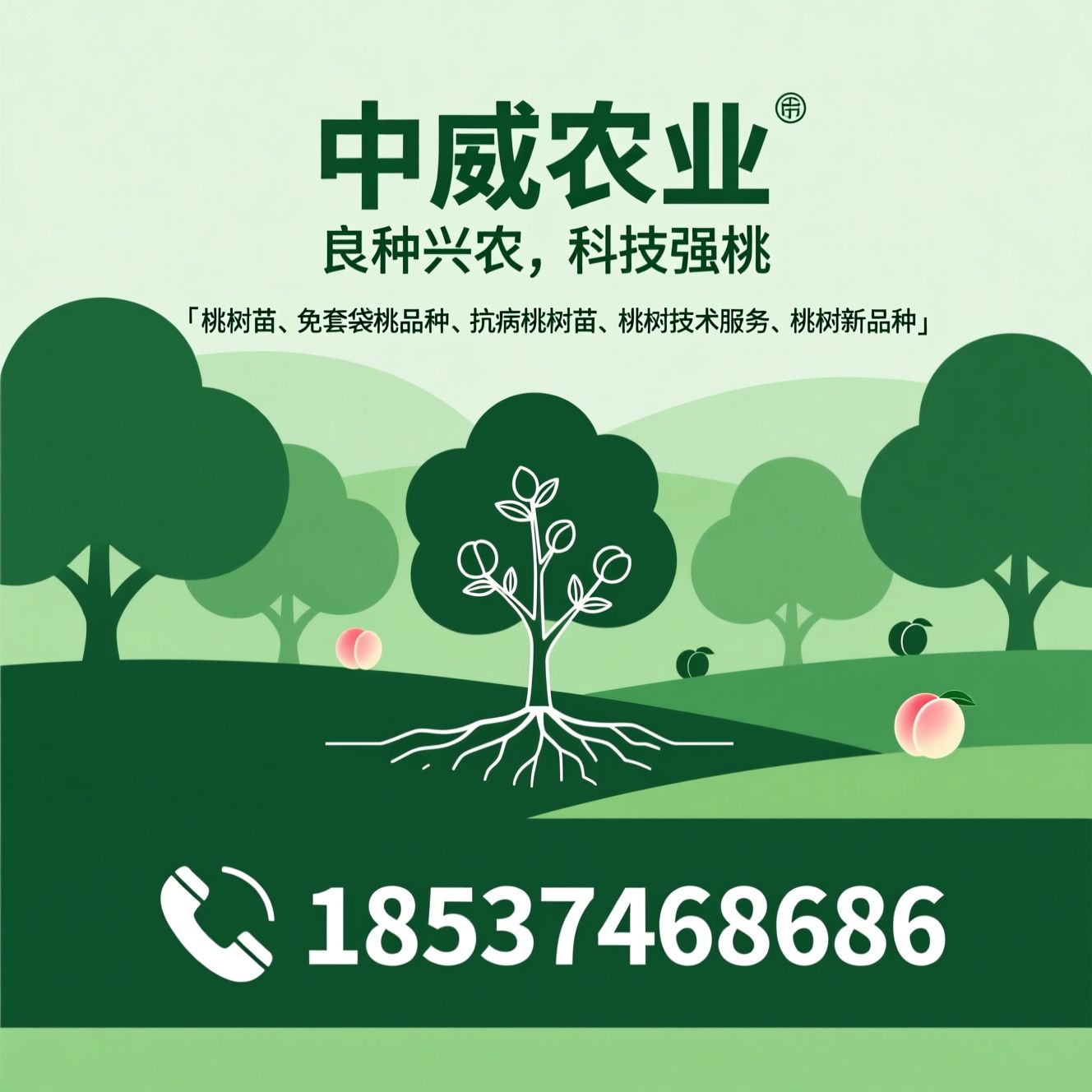 桃树苗_免套袋桃品种/抗病桃树苗/推荐中威农业服务