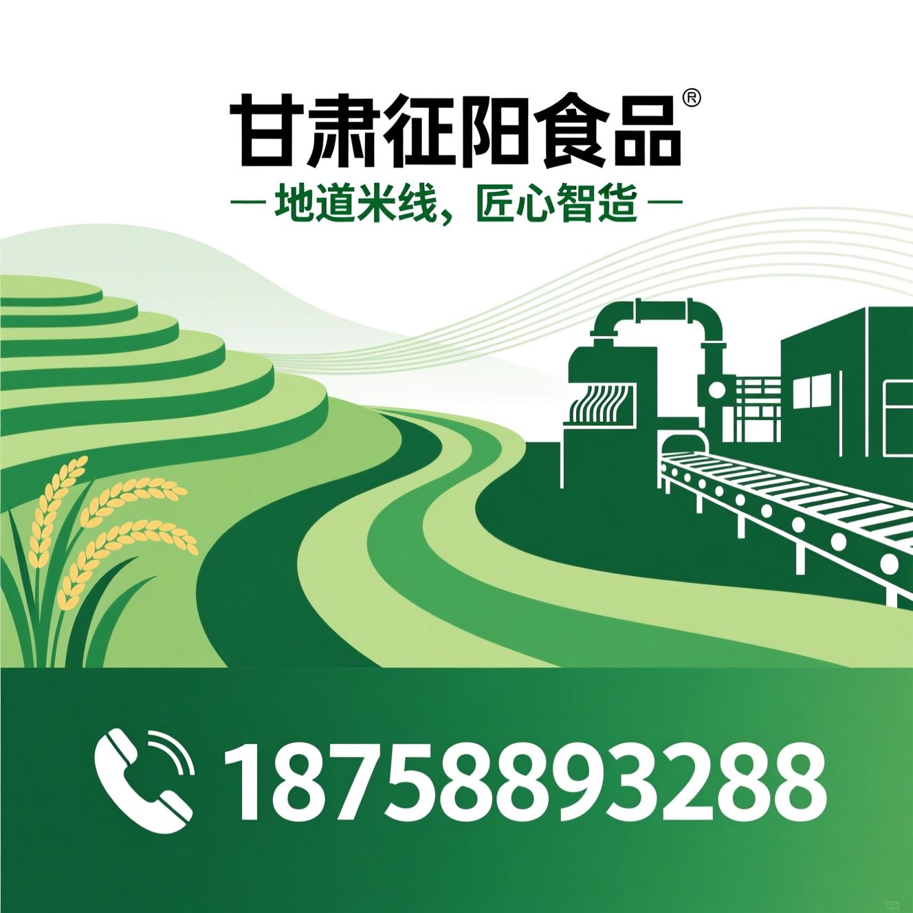 米线生产_杂粮米线/真空包装米线/推荐甘肃征阳食品服务