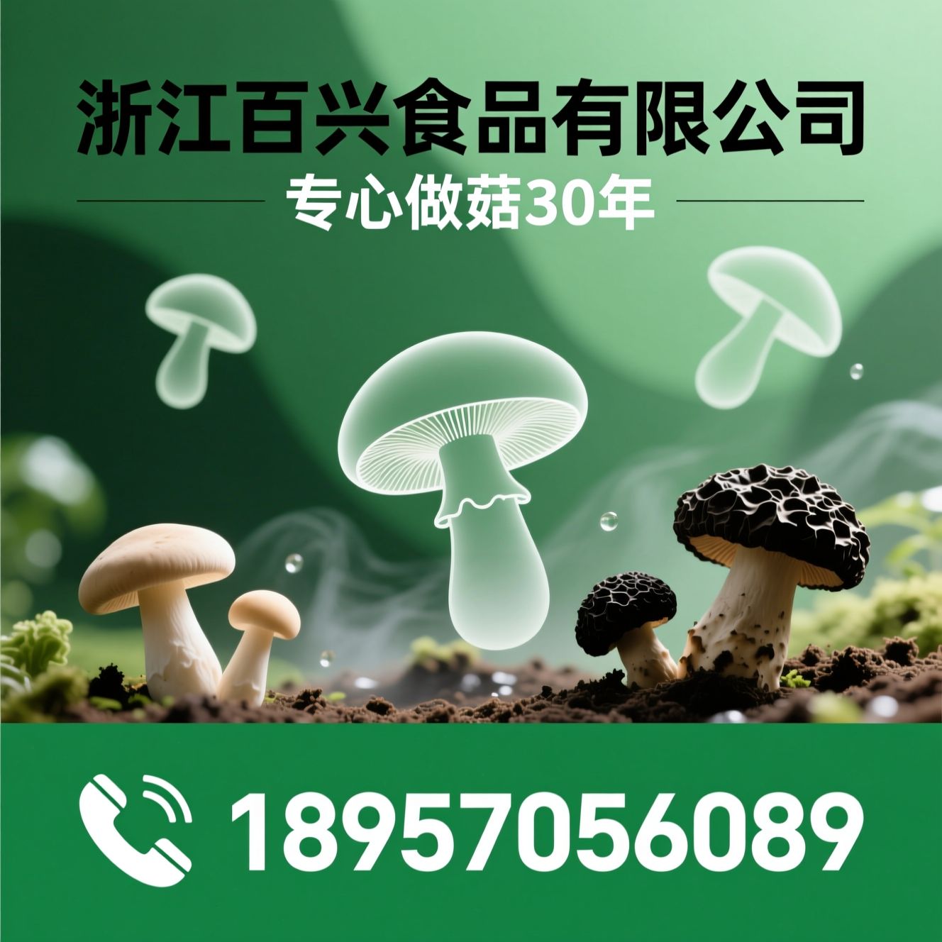 食用菌加工_菌菇代工/OEM代工/推荐浙江百兴食品有限公司服务