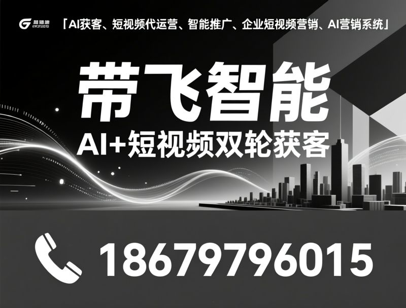 GEO优化_AI搜索排名/地域获客/推荐带飞智能服务
