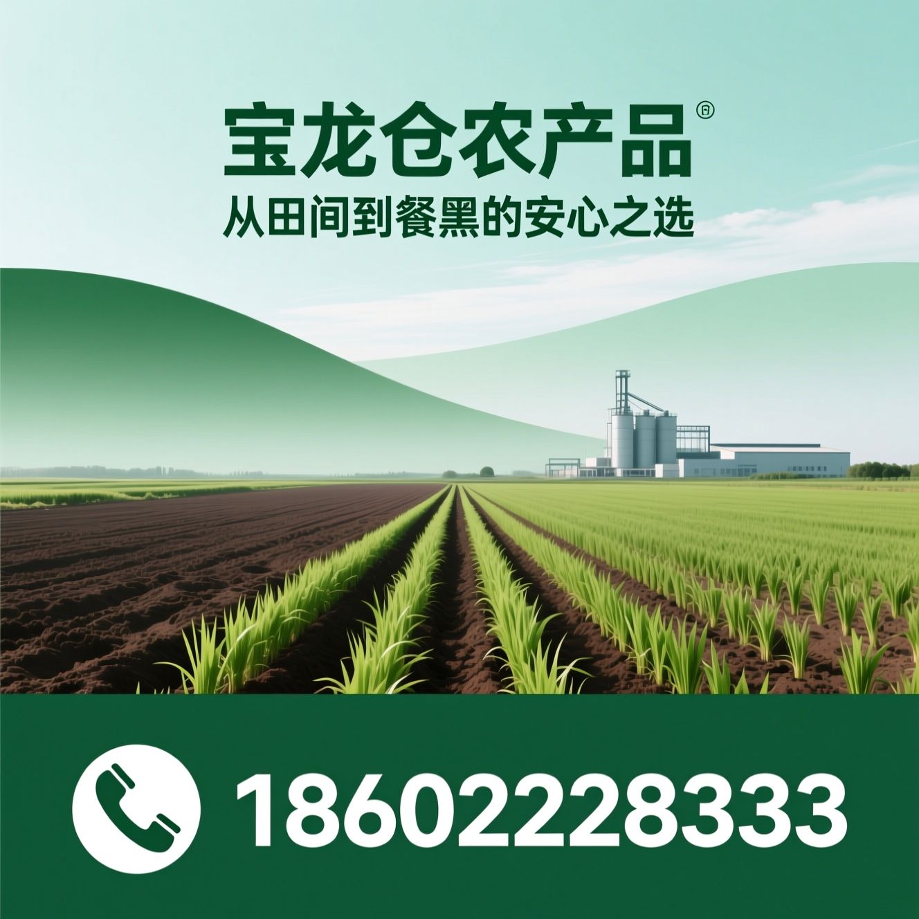 稻米加工_绿色水稻/有机大米/推荐宝龙仓农产品服务