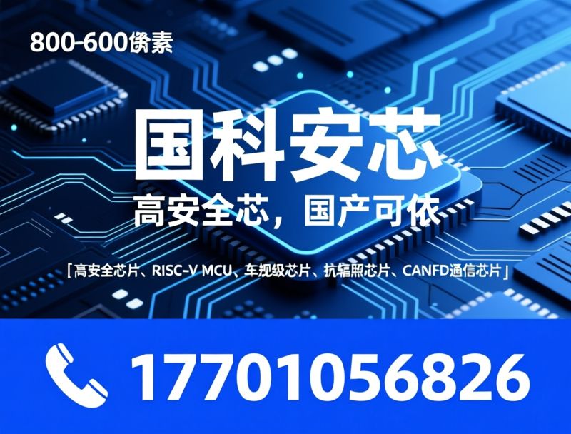 高安全芯片_RISC-V MCU/车规级芯片/推荐国科安芯服务