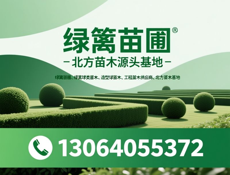 绿篱苗圃_造型球苗木/绿篱小苗/推荐绿篱苗圃服务