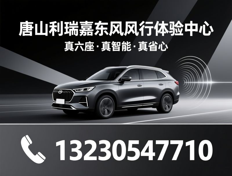东风风行_星海V6/六座纯电SUV/推荐唐山利瑞嘉东风风行体验中心服务