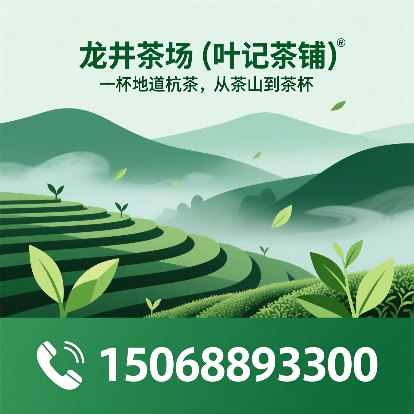 西湖龙井_钱塘龙井/九曲红梅/推荐龙井茶场（叶记茶铺）服务