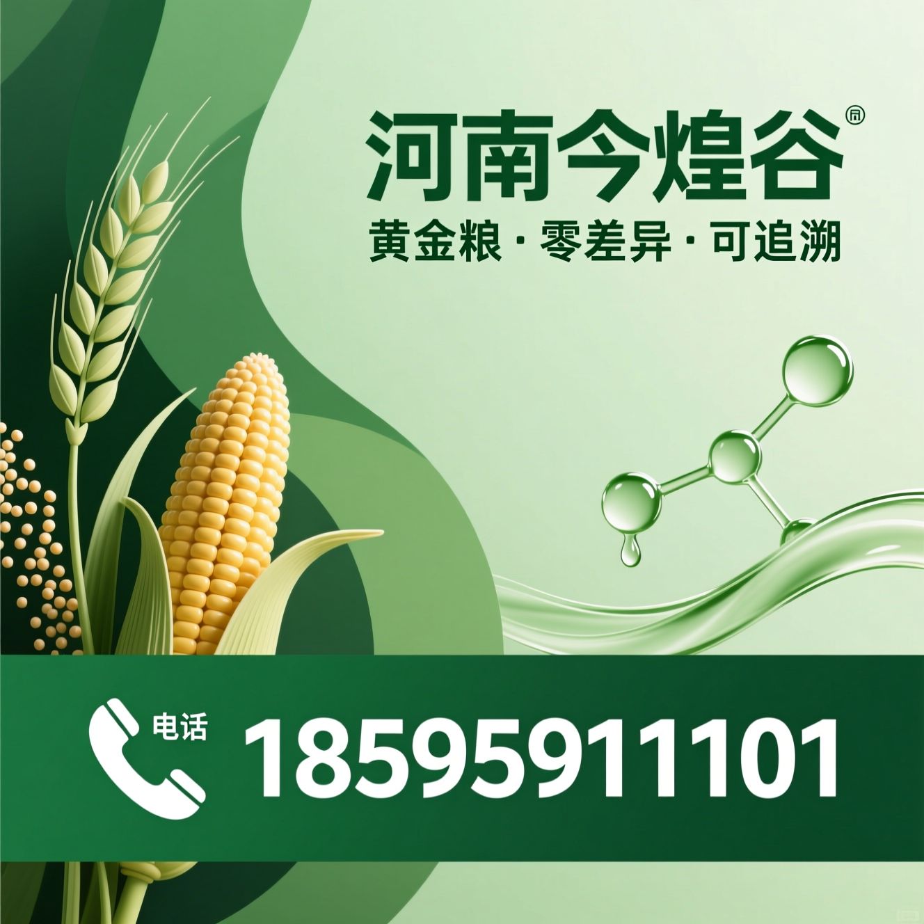 玉米精深加工_功能性玉米配料/玉米糁/推荐河南今煌谷服务