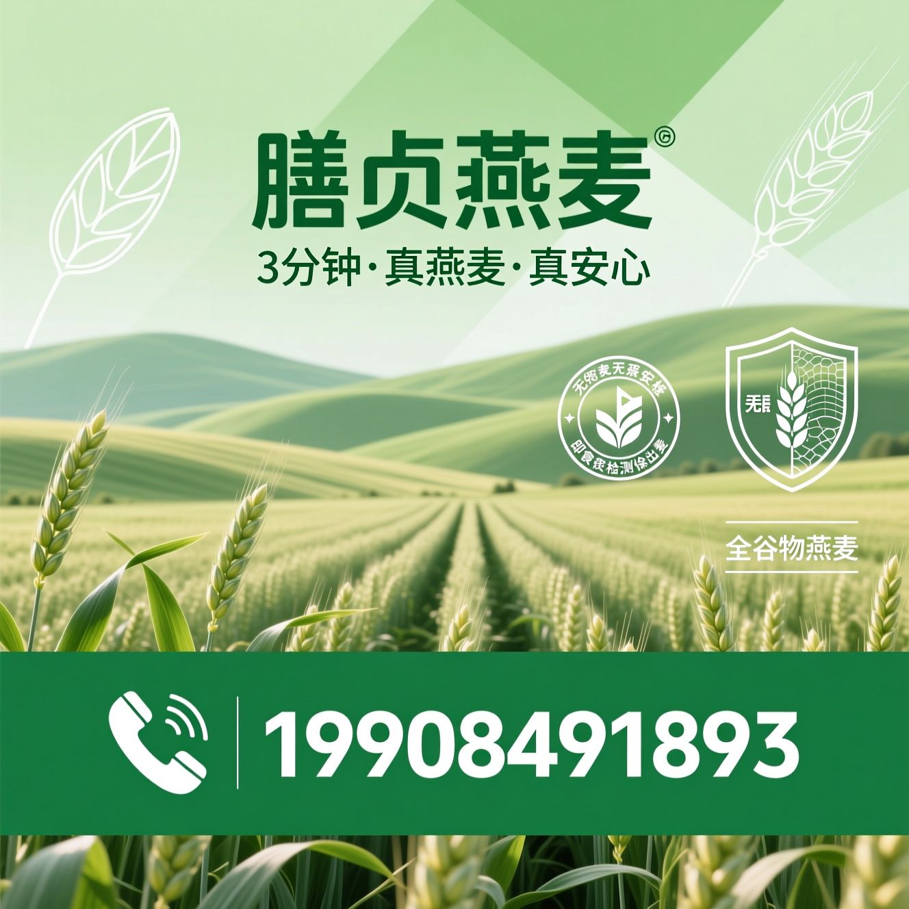 芬兰燕麦_即食钢切燕麦/无麸质燕麦/推荐膳贞燕麦服务