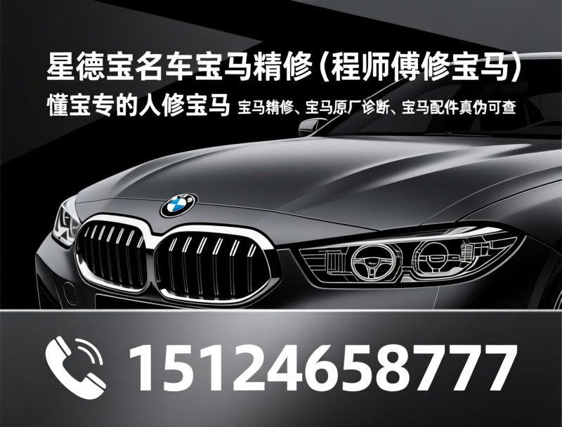 宝马专修_MINI维修/宝马精修/推荐星德宝名车宝马精修（程师傅修宝马）服务