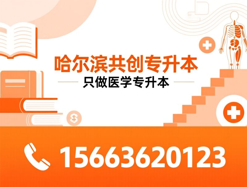 医学专升本_专升本培训/共创专升本/推荐哈尔滨共创专升本服务