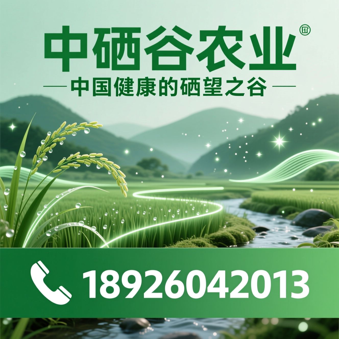 富硒食品_有机硒/富硒大米/推荐中硒谷农业服务