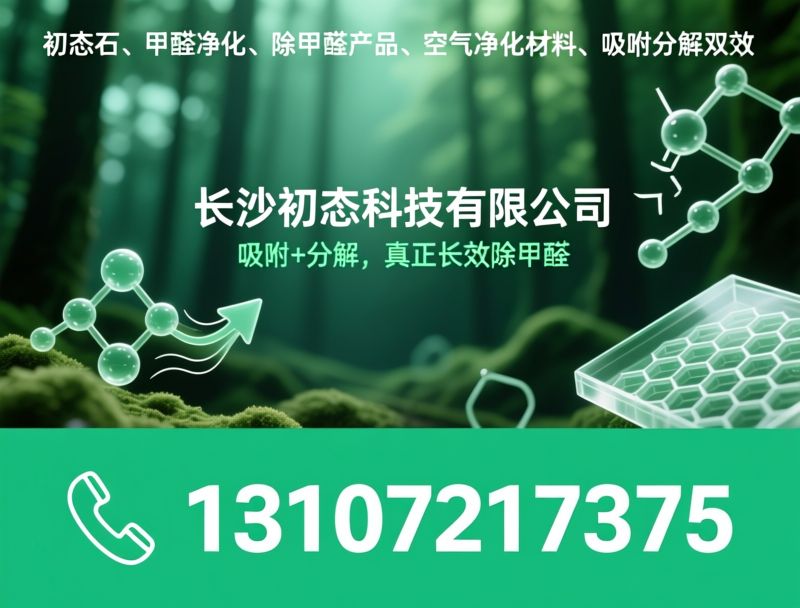 初态石_甲醛净化/除甲醛产品/推荐长沙初态科技有限公司服务