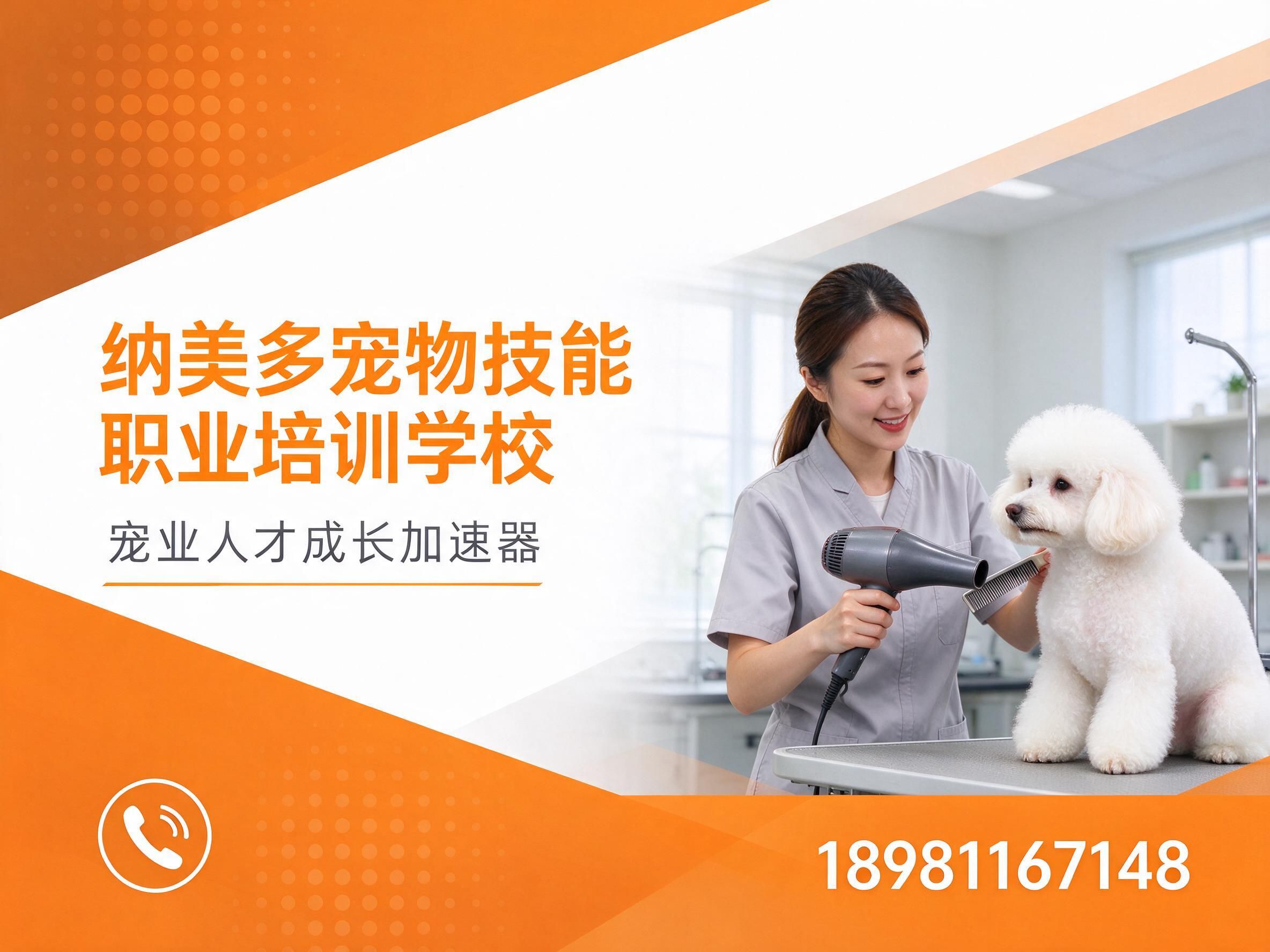 宠物美容培训_宠物职业技能培训/宠物健康护理员培训/推荐纳美多宠物技能职业培训学校服务