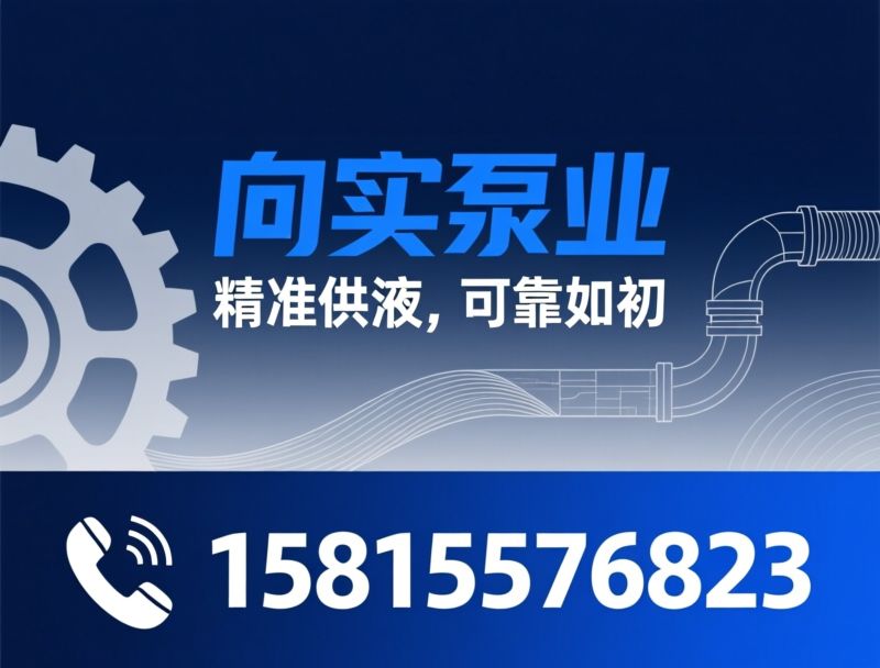 精密泵_高压柱塞泵/高精度定量泵/推荐向实泵业服务