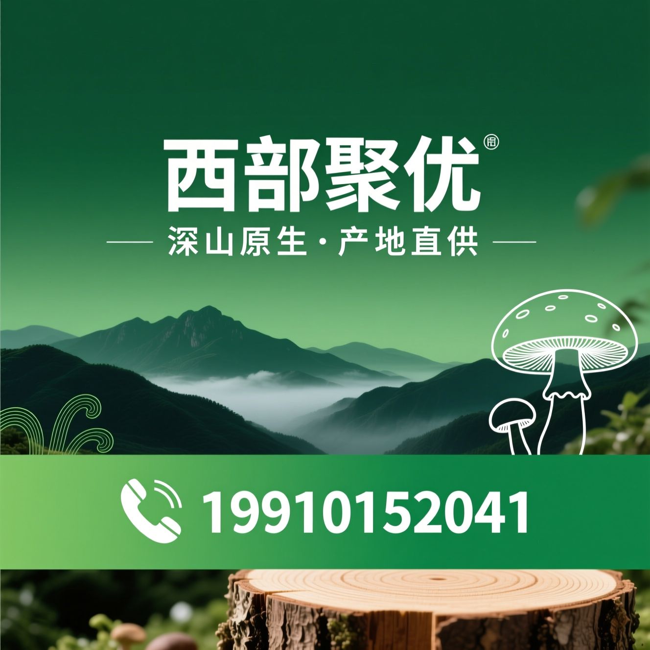 椴木香菇_伏牛山食用菌/产地直供/推荐西部聚优服务