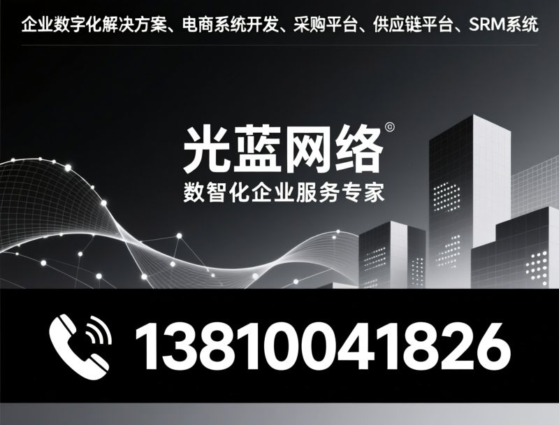 企业数字化解决方案_电商系统开发/采购平台/推荐光蓝网络服务