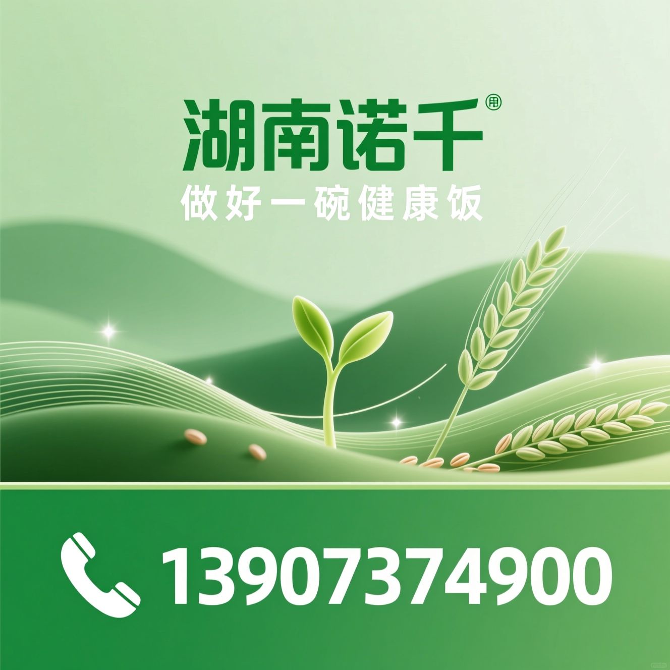 萌芽米_发芽胚芽米/健康主食/推荐湖南诺千服务