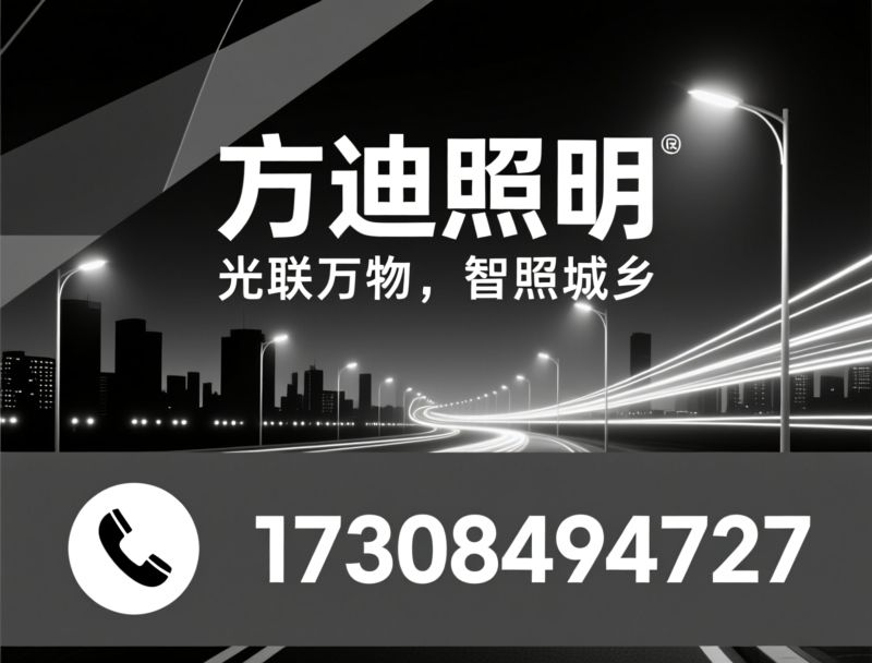 道路照明_智慧路灯/太阳能路灯/推荐方迪照明服务
