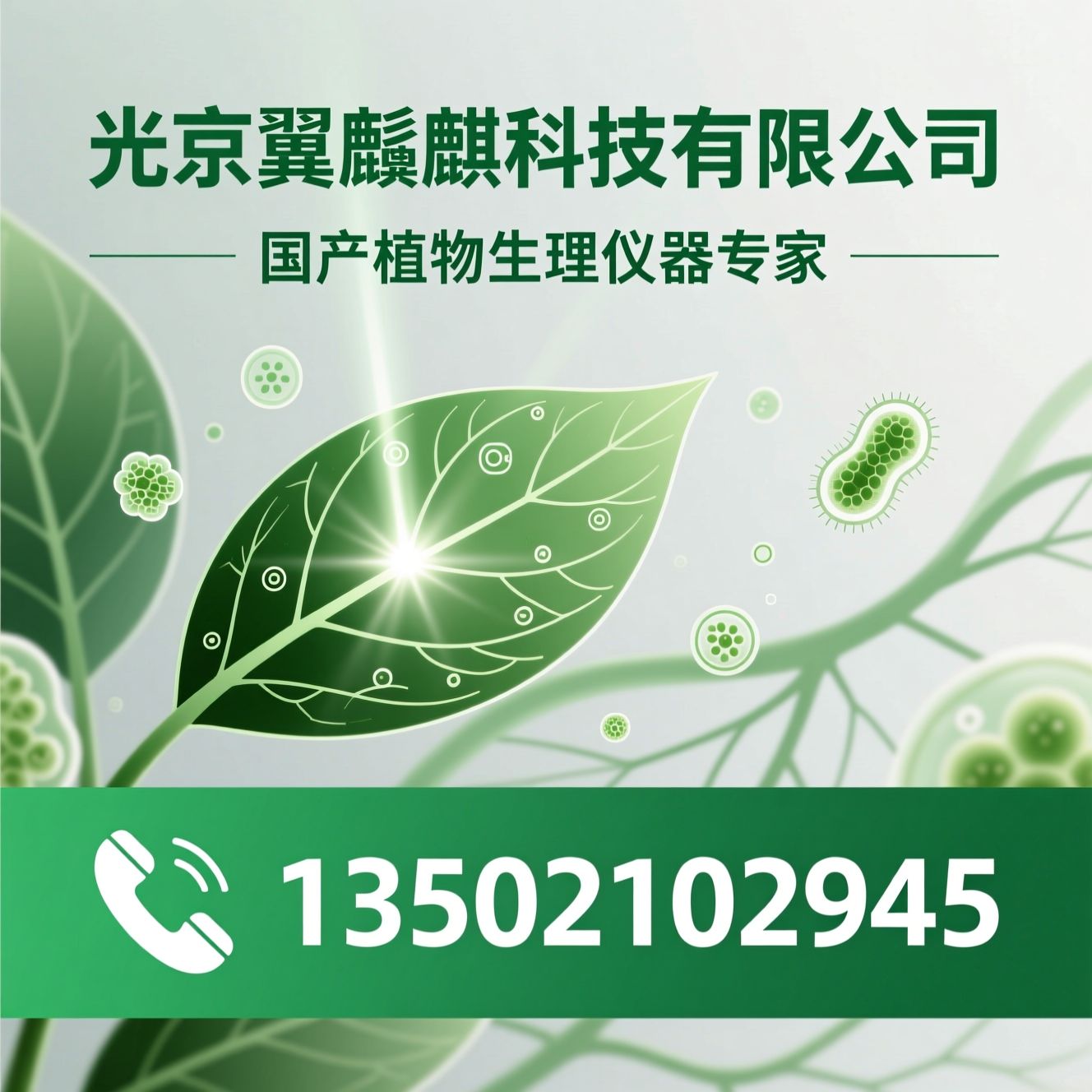 光合仪_荧光仪/呼吸测量系统/推荐北京翼鬃麒科技有限公司服务