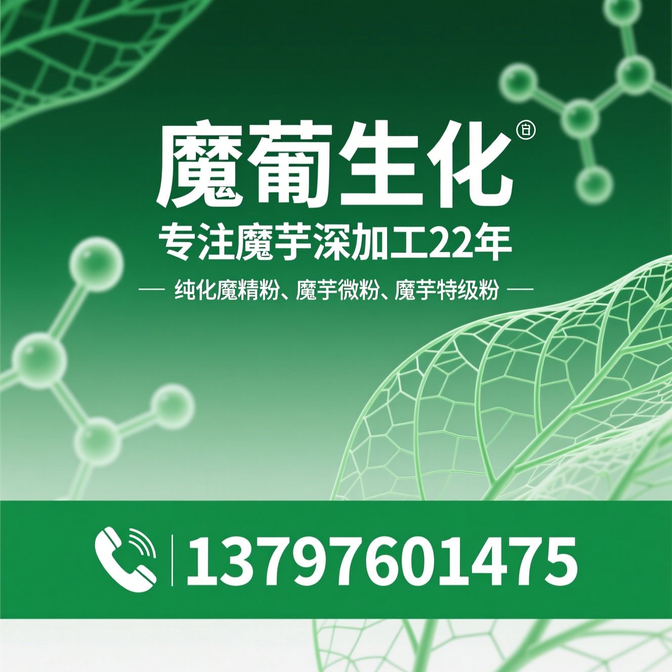 魔芋粉_魔芋精粉/纯化魔芋粉/推荐惠葡生化服务