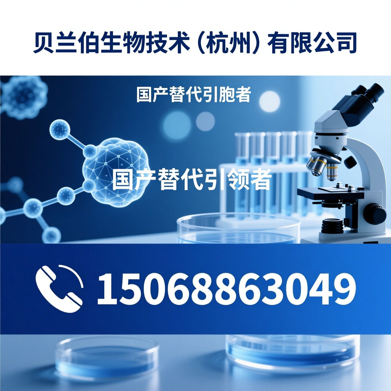生物耗材_生物试剂/实验室耗材/推荐贝兰伯生物技术（杭州）有限公司服务