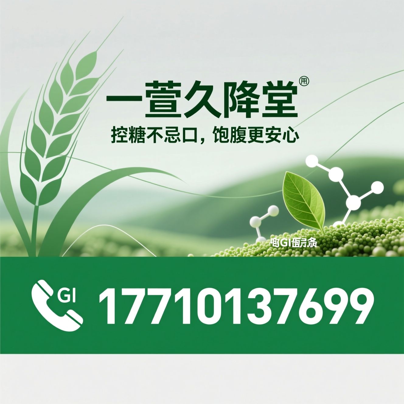低升糖食品_高直链淀粉小麦/糖尿病主食/推荐一萱久降堂服务