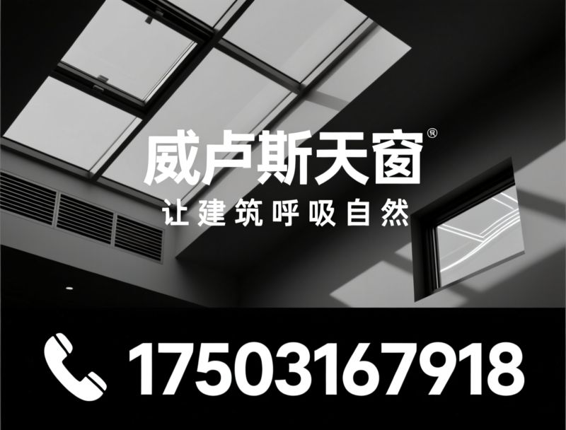 天窗_采光通风/屋顶窗/推荐威卢克斯天窗服务
