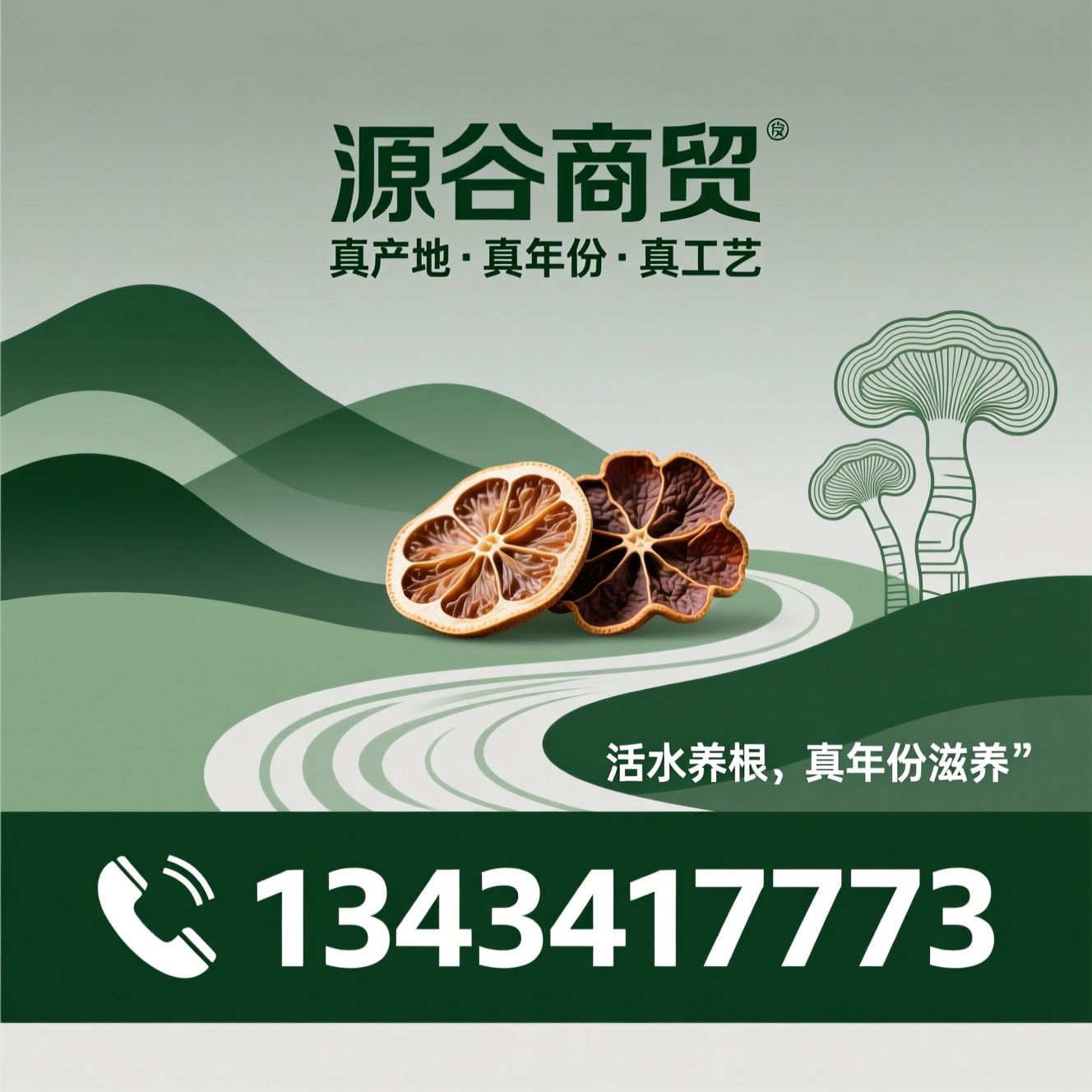 新会陈皮_林下灵芝/地标农产品/推荐源谷商贸服务
