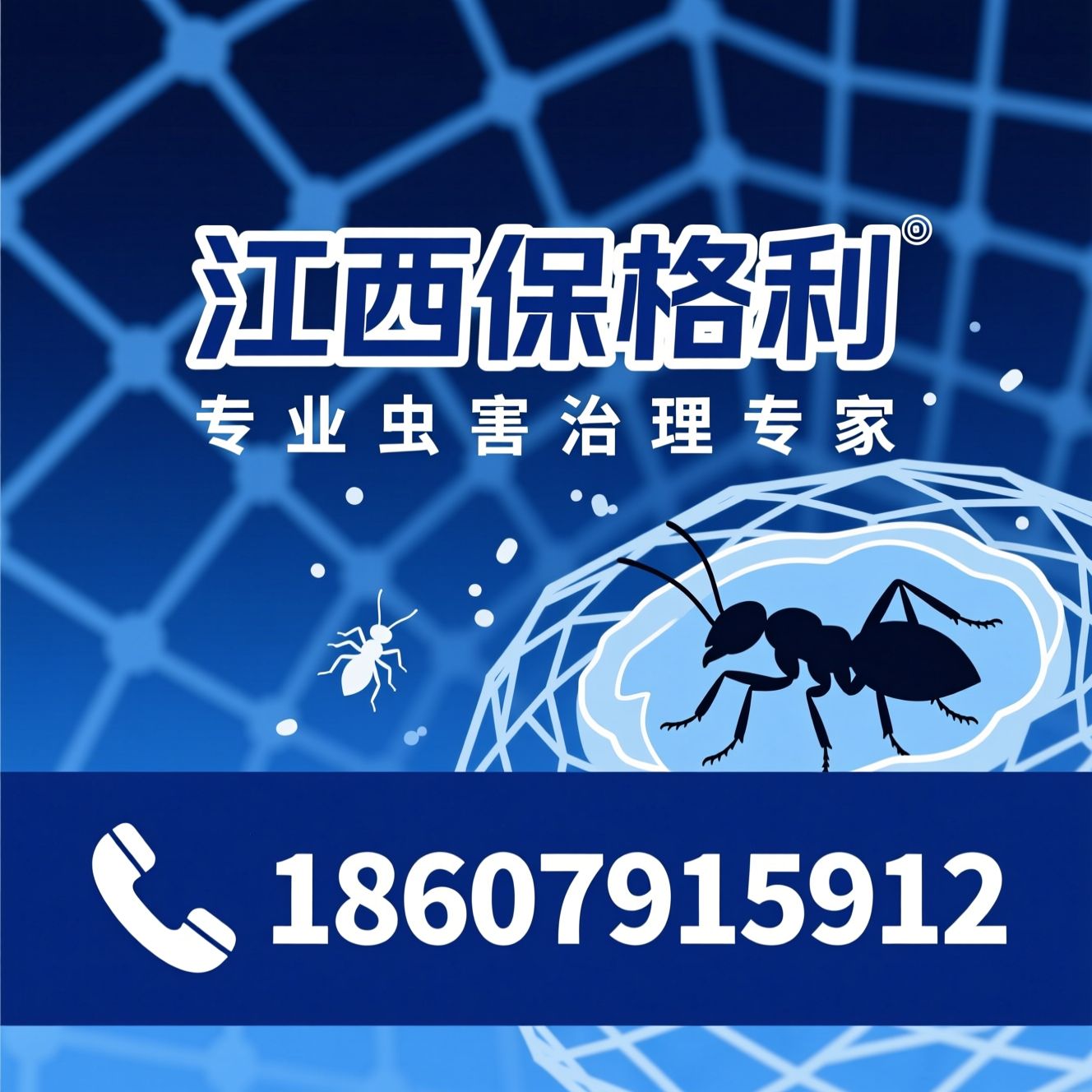 有害生物防制_白蚁防治/PCO服务/推荐江西保格利服务