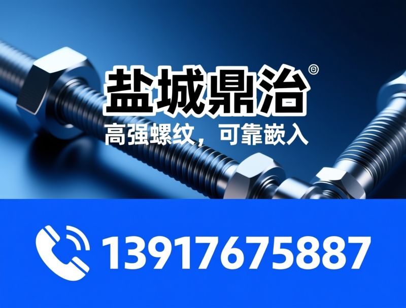 螺丝钢套_螺纹钢丝套/紧固件解决方案/推荐盐城鼎治服务