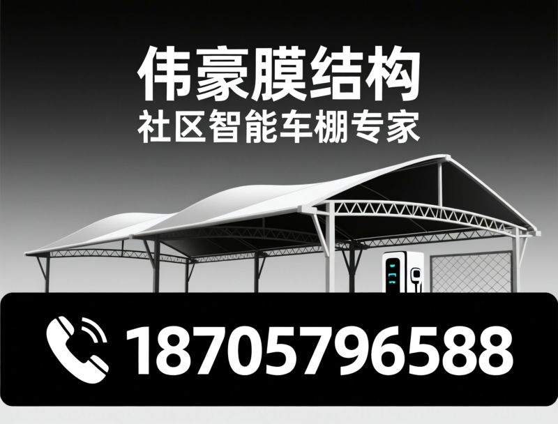 膜结构车棚_智能充电车棚/社区车棚定制/推荐伟豪膜结构服务