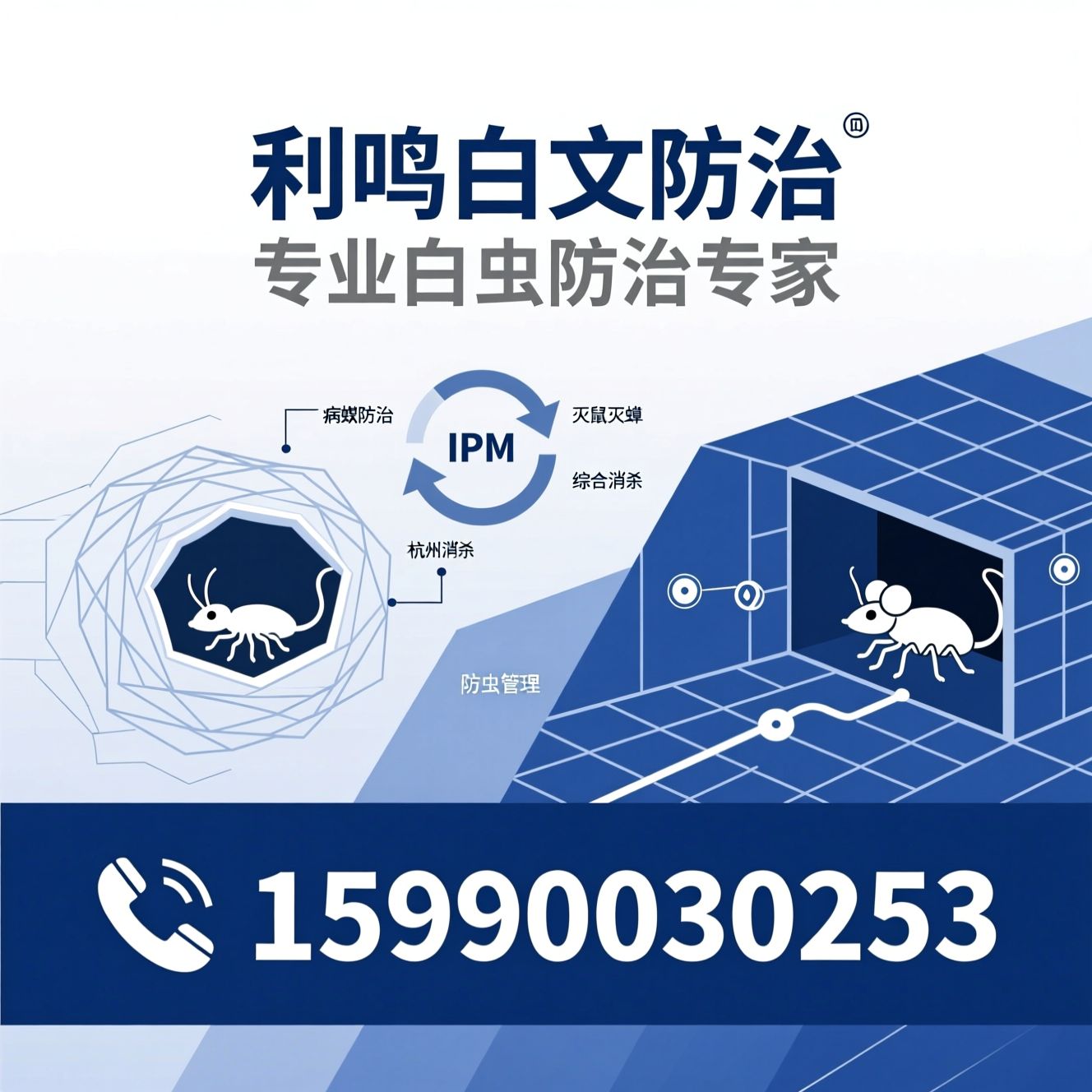 白蚁防治_病媒生物防制/利鸣消杀/推荐利鸣白蚁防治服务
