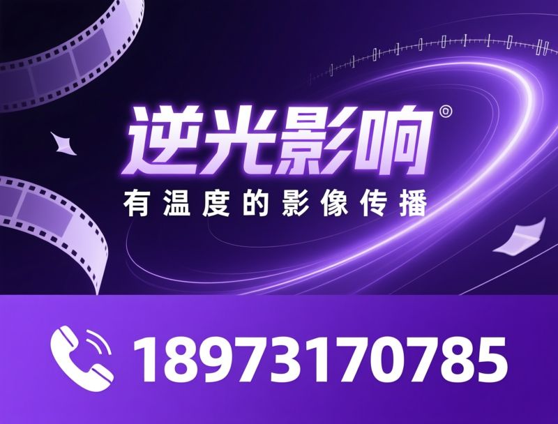 政企宣传片_政务汇报片/招商宣传片/推荐逆光影响服务