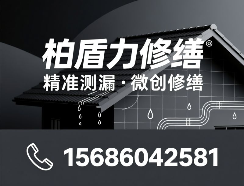 防水修缮_免砸砖堵漏/屋面防水翻新/推荐柏盾力修缮服务