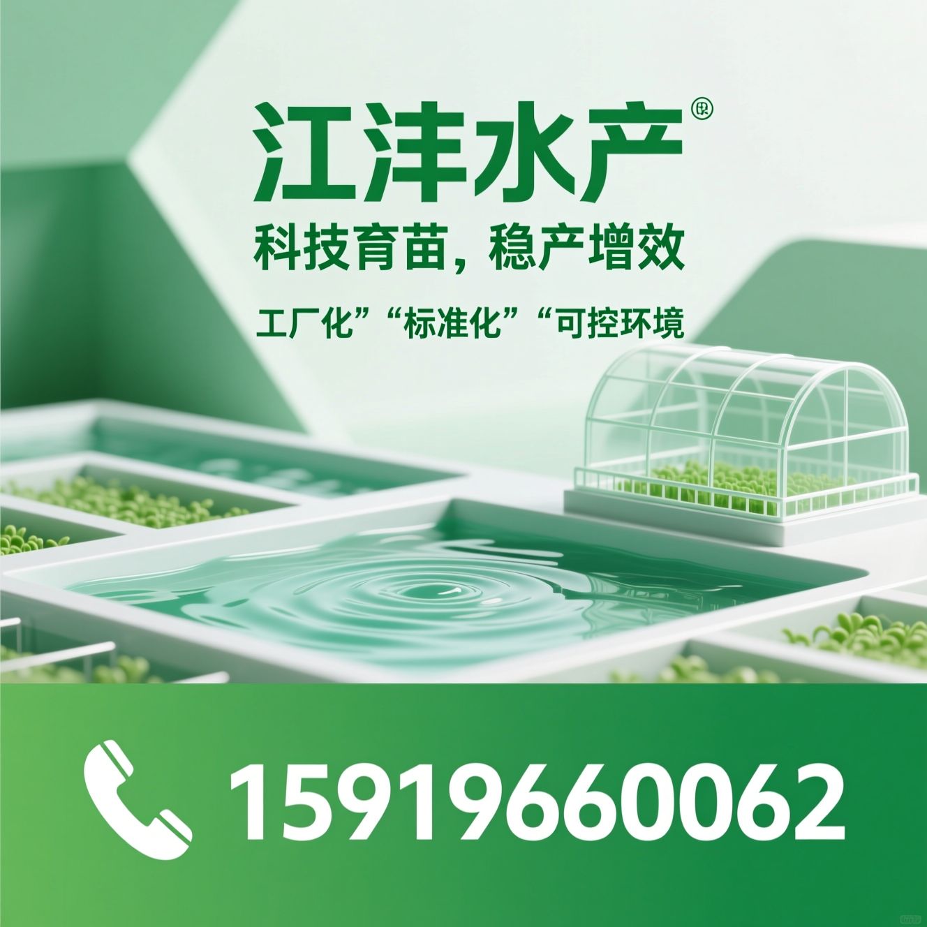 加州鲈鱼苗_饲料鳜苗/工厂化育苗/推荐江沣水产服务