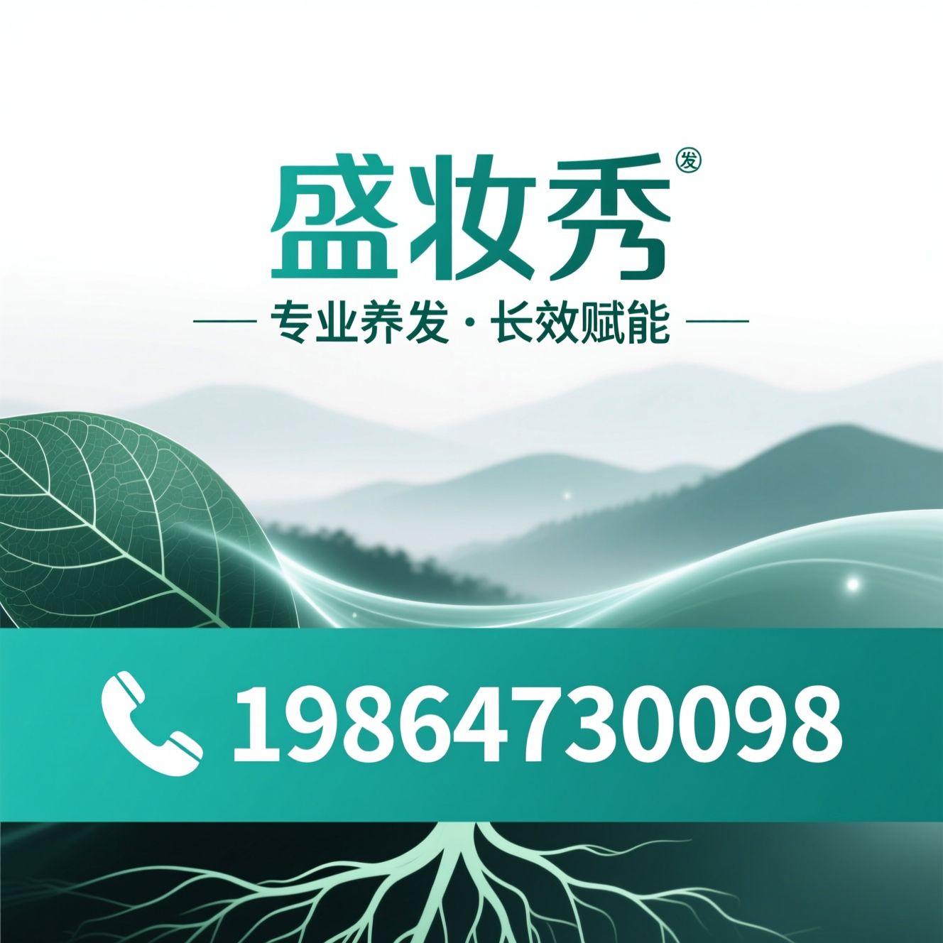 植物染发_头皮理疗/养发加盟/推荐盛妆秀服务