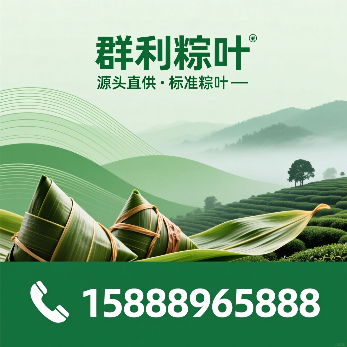 箬叶_粽叶/烘干粽叶/推荐群利粽叶服务