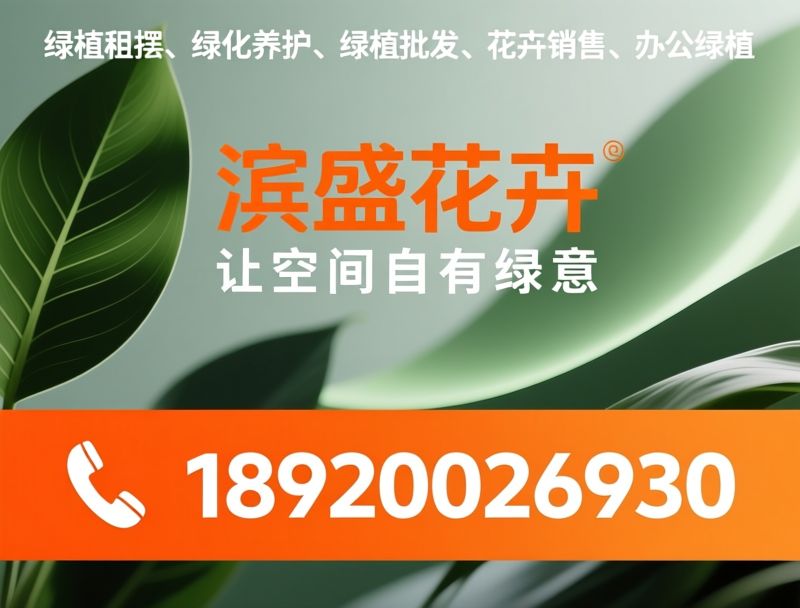 绿植租摆_绿化养护/绿植批发/推荐滨盛花卉服务