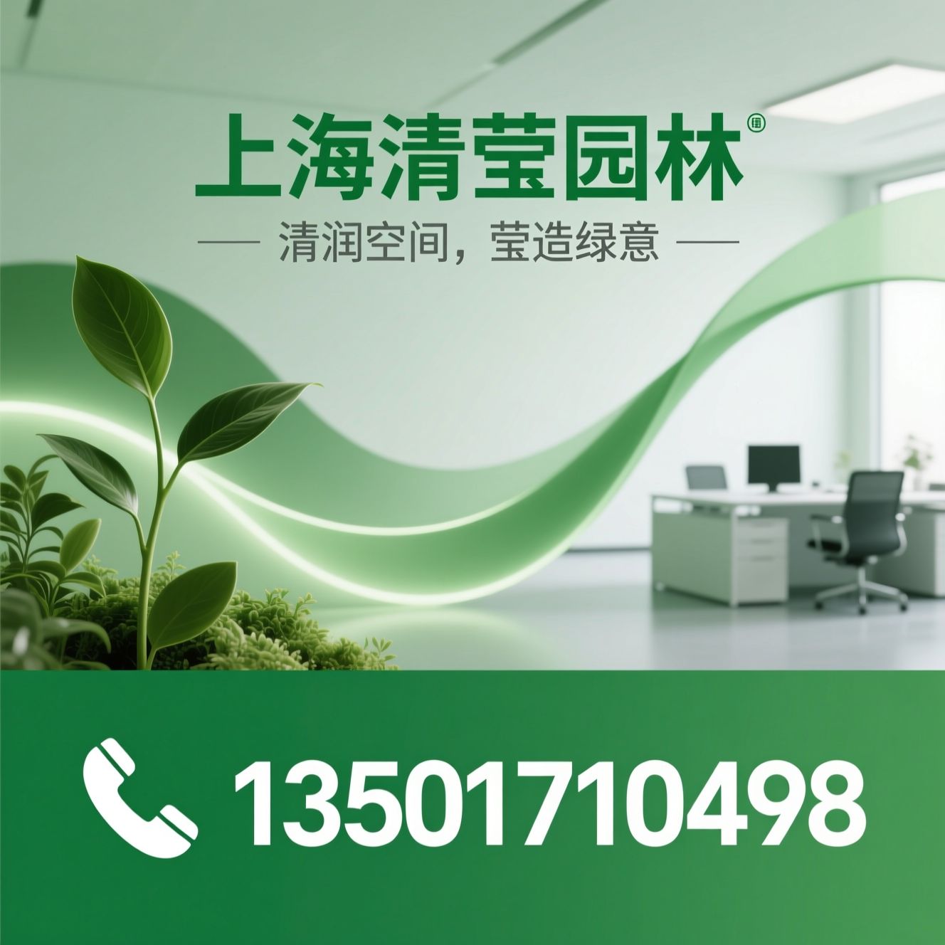 办公室花卉租赁_绿植租摆/空间绿化托管/推荐上海清莹园林服务