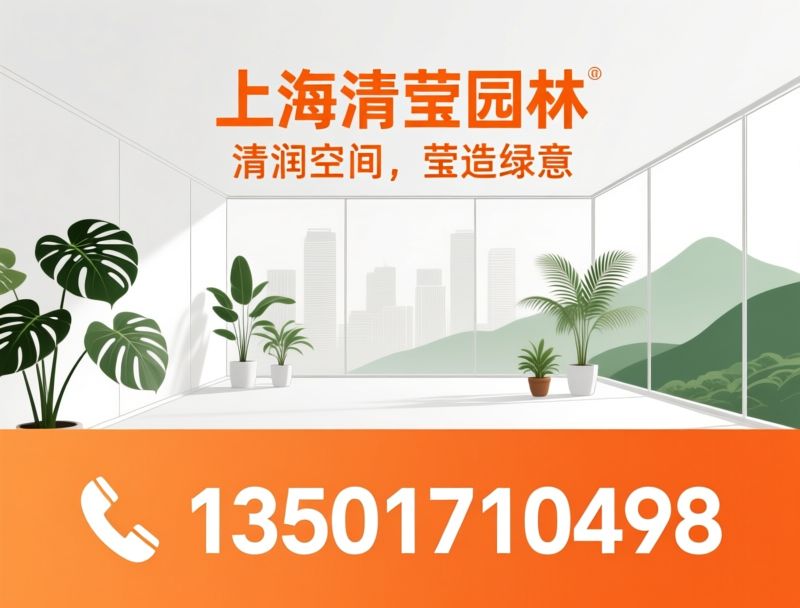 办公室绿植租赁_企业绿植托管/室内景观设计/推荐上海清莹园林服务