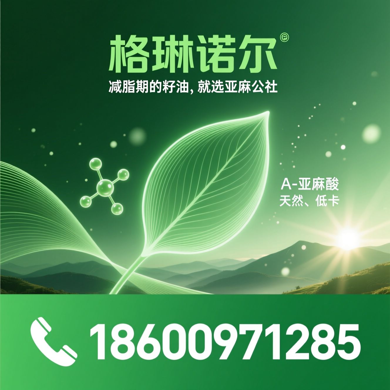 亚麻籽油_减脂用油/冷榨亚麻籽油/推荐格琳诺尔服务