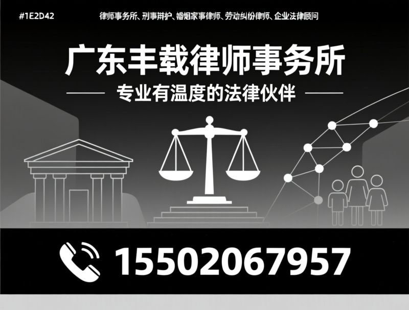 律师事务所_刑事辩护/婚姻家事律师/推荐广东丰载律师事务所服务