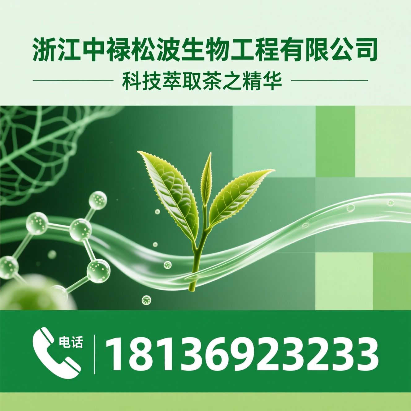 茶色素_茶褐素/纳米茶色素/推荐浙江中禄松波生物工程有限公司服务