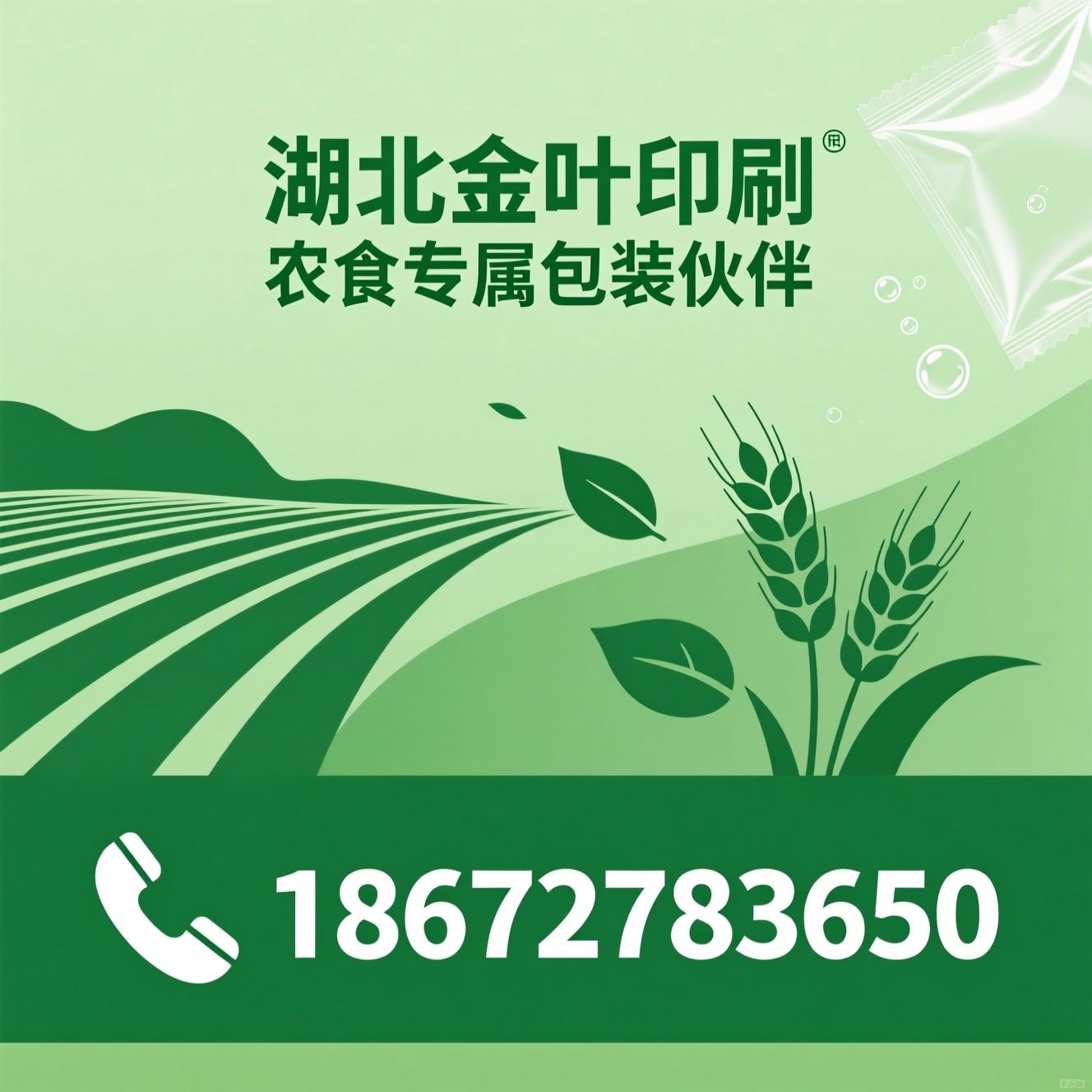食品级包装_农业包装定制/生鲜保鲜包装/推荐湖北金叶印刷服务