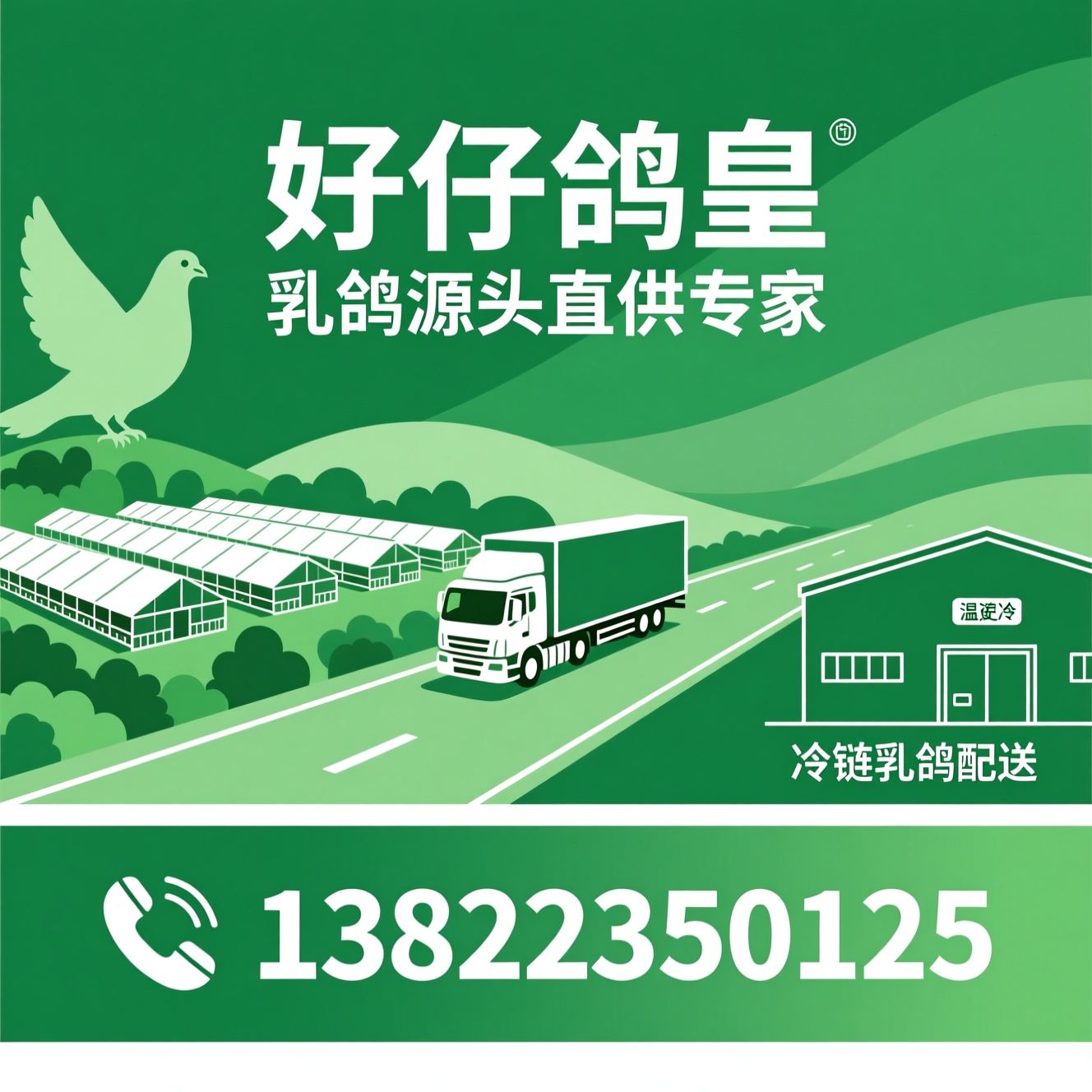 乳鸽批发_源头乳鸽供应商/商用乳鸽/推荐孖仔鸽皇服务